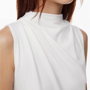 Babaton aritzia dress